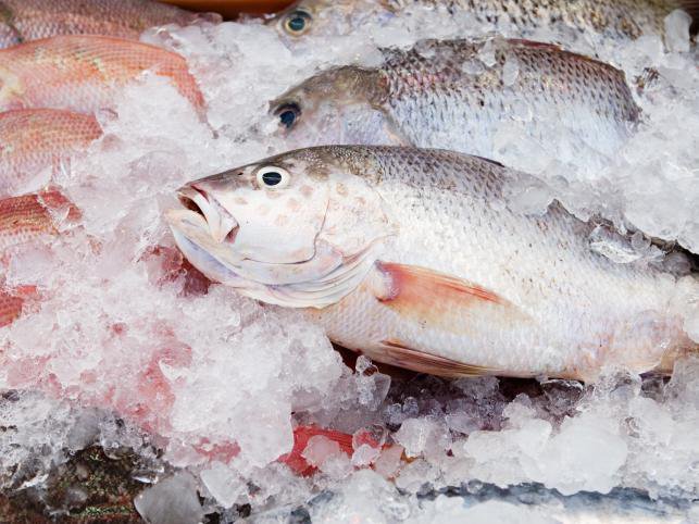 Устройства «рыба на льду» или как правильно продавать рыбу и морепродукты