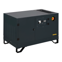 Газовый генератор Gazvolt Standard 6250 Neva (кожух) 